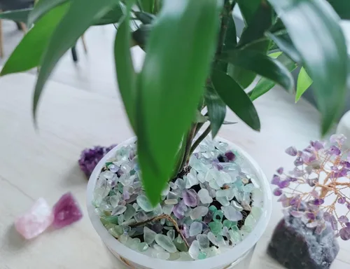 Vista 3 de ZHIYUXI Relleno de florero de fluorita de cristal, 0.22 libras, chips curativos pulidos para decoración, grava para pecera, plantas suculentas