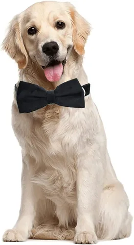 Vista 6 de Love Dream Collar de perro Bowtie de terciopelo, con hebilla de metal desmontable, suave, cómodo, ajustable, para perros pequeños, medianos