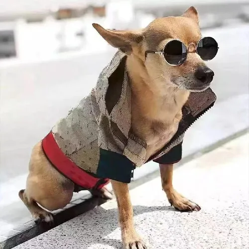 Vista 6 de Sudadera con capucha para perro de invierno, ropa de lujo para perro, ropa clásica para mascotas, abrigo de bulldog francés, ropa de cachorro