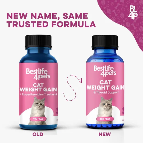 Vista 2 de Ganador de peso para gatos y apoyo para la tiroides – Estimulante natural del apetito para gatos, gatitos con bajo peso o gatos mayores que muestran