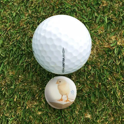 Vista 3 de Pequeño pollito en el libro del sombrero de golf clip con marcador magnético de la bola, Multi