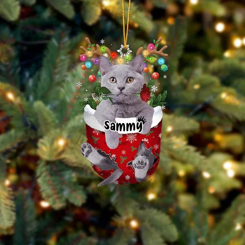 Vista 28 de Adorno personalizado de gato de rizo americano, adorno personalizado con nombre de mascota, colgante acrílico plano impreso en 2D, Papá Noel y gato