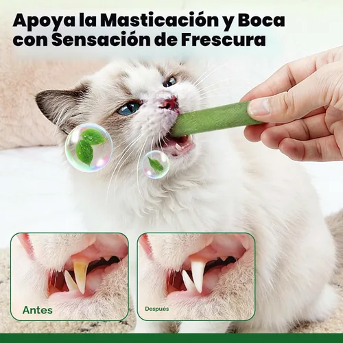 Vista 9 de Palito de hierba para gatos de 2.12 oz, secado congelado, bocadillos para limpieza de dientes y eliminación de bolas de pelo, sabor natural a pollo