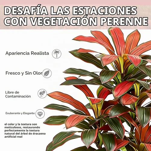 Vista 3 de Árbol de Dracaena artificial rojo de 6 pies, plantas falsas altas Hoja blanco-roja