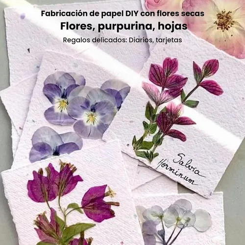 Vista 7 de Caydo Kit de marco de fabricación de papel, molde de 3 piezas y cubierta
