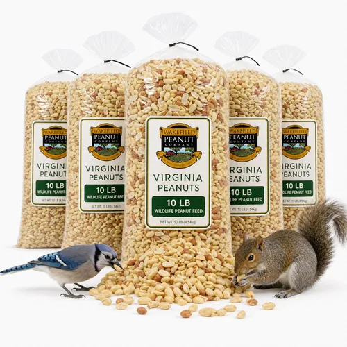 Vista 12 de Wakefield - Cacahuetes Virginia prémium para ardillas, arrendajos azules y vida silvestre, bolsa de 6 libras, recogidos a mano, crudos, sin sal