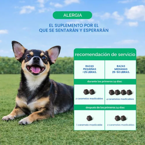 Vista 5 de Native Pet - Masticables para alergias para perros – Alivio de la alergia de perros para razas medianas – Apoya el alivio de la picazón estacional