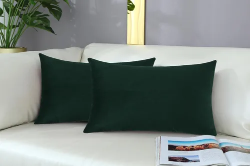 Vista 47 de mixeoo Comfy - Juego de 2 fundas de almohada decorativas de terciopelo grueso sólido y grueso, súper suaves, decoración del hogar para sofá, sala