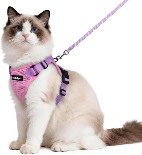 Vista 91 de rabbitgoo Cat Harness and Leash Set, Escape Proof Vest, XXS, Berry Pounce Soft Breathable Mesh, No-choke Adjustable Fit, Snap Buckles, Sturdy