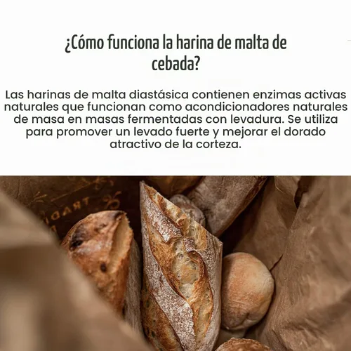Vista 6 de breadtopia diastatic Cebada En Polvo – Orgánica