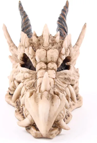 Vista 2 de Puckator DRG186 Dragon Skull Money Box 19 x 11 x 11 cm, Mixed, Height 11cm Width 11cm Length 19cm Slot 3.5cm