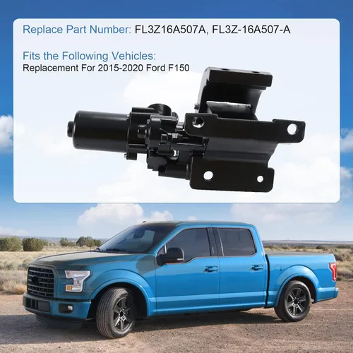 Vista 4 de DICMIC Motor de estribo izquierdo con soporte Compatible con Ford F150 2015-2020 Reemplazo# FL3Z-16A507-A