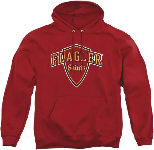 Vista 178 de Distressed College Primary Logo Adult Pullover Hoodie Collection 1 Universidad Estatal de Albany