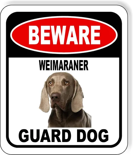 Vista 91 de BEWARE BASSETT HOUND GUARD DOG - Letrero compuesto de aluminio para exteriores, 8.5 x 10 pulgadas CUIDADO BASSETT HOUND GUARD PERRO
