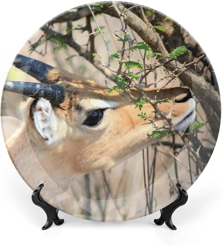 Vista 14 de Plato decorativo de animales silvestres de África para cocina, recuerdo de cerámica para colgar en la pared con soporte de exhibición, decoración