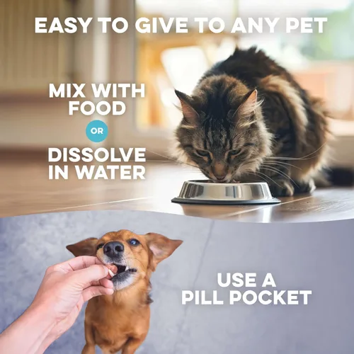 Vista 3 de Tratamiento natural para aliviar la picazón y la infección del oído para perros y gatos, tratamiento natural para los ácaros del oído para gatos