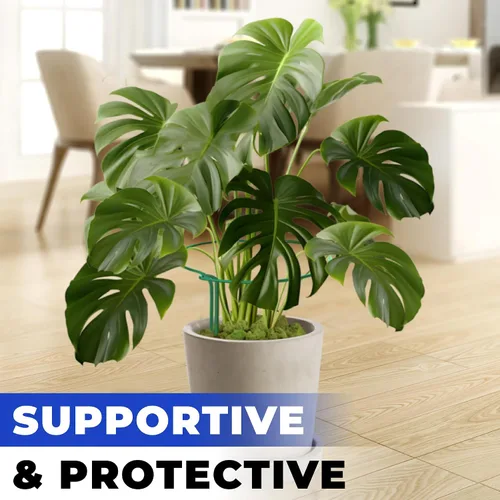 Vista 6 de Estacas altas de soporte para plantas para interiores y exteriores, jaulas y soportes de peonía, anillo de jaula para plantas para flores en maceta