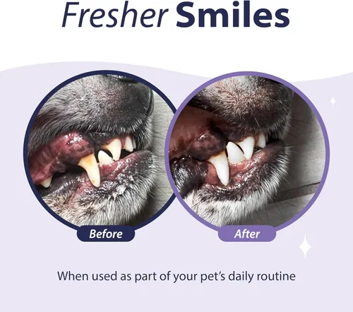 Vista 2 de Dental Fresh Gel enzimático para perros, pasta de dientes para perros - Esenciales para perros para la limpieza de dientes de perro