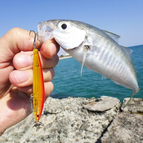 Vista 9 de Señuelos de pesca, señuelo grande y duro Minnow VIB con gancho de agudos Life-Like Swimbait Fishing Bait Popper Crankbait Vibe Sinking Señuelo