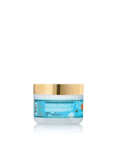 Vista 2 de CURLS Sea Moss 92 Acondicionador de vitaminas y minerales – Promueve el crecimiento saludable del cabello – Máxima hidratación – Fomenta