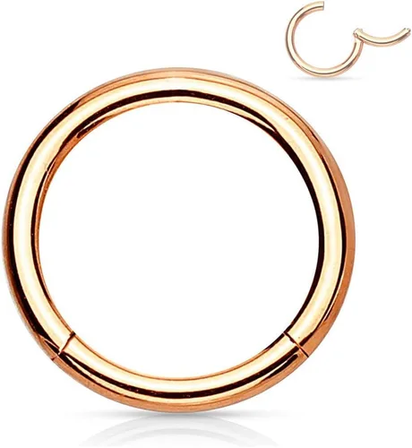 Vista 112 de Forbidden Body Jewelry - Piercing para la nariz de acero quirúrgico 316L con bisagra, 14G, 16G, 18G, diámetro de 15/64, 5/16, 25/64, 15/32 pulgadas