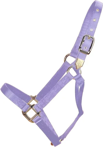 Vista 10 de Hamilton Caballo de nailon de 1 pulgada, tamaño pequeño (500-800 libras), azul baya