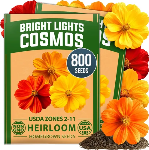 Vista 15 de HOME GROWN - Semillas de zinnia rosadas – 600 Zinnias Luminosa de 0.02 oz, semillas de flores anuales fáciles de cultivar para plantar al aire libre