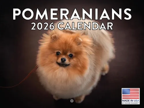 Vista 193 de Calendario mensual de pared Airedale Terrier Dog 2027 rojo (Airedale Terrier)