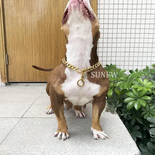 Vista 5 de Cierres de langosta fuertes ajustables para perros, collar de titanio, para entrenamiento, caminar, de metal, a prueba de masticación, para perros