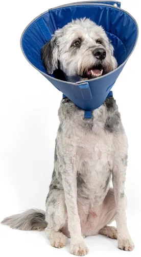 Vista 10 de Calm Paws Collar para el cuidado del perro con calmante (XS)