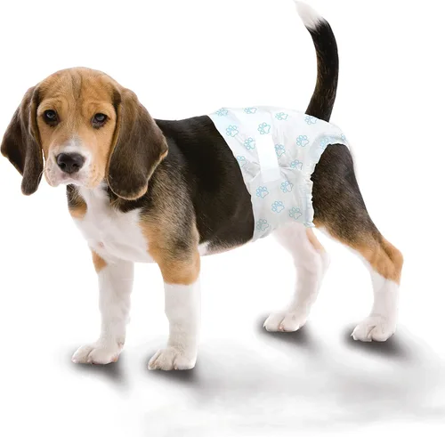 Vista 6 de Four Paws Wee-Wee - Pañales desechables para perros, medianos, 12