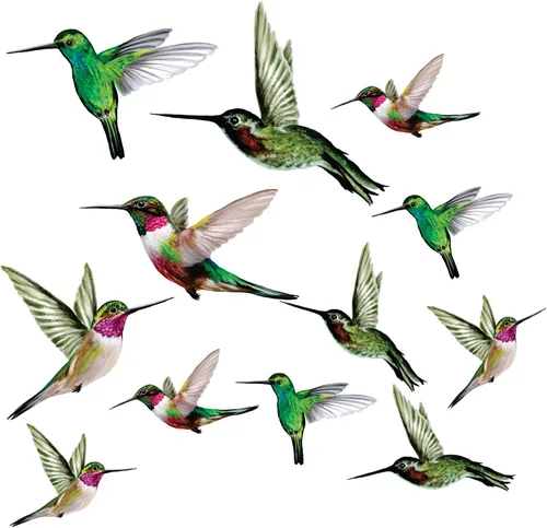 Vista 10 de 4 adhesivos para ventanas de colibrí para seguridad de vidrio en puertas, ventanas y paneles. Calcomanías para evitar golpes de pájaros. Fabricado