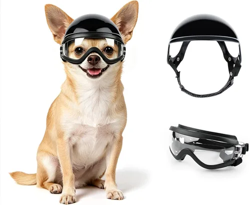 Vista 12 de Enjoying - Casco para perros pequeños, casco para perros pequeños, cascos para perros pequeños, cascos para perros pequeños, gatos, viajes Negro