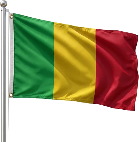 Vista 107 de DMSE - Bandera nacional beninesa beninesa de la República de África Occidental, 2 x 3 pies, 100 % poliéster, 100 % poliéster, resistente a los rayos