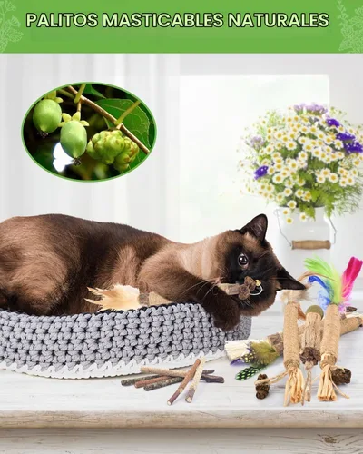 Vista 6 de Palitos masticables de Silvervine de TINDTOP para gatos, paquete de 12 unidades de juguetes naturales masticables de hierba gatera para limpieza