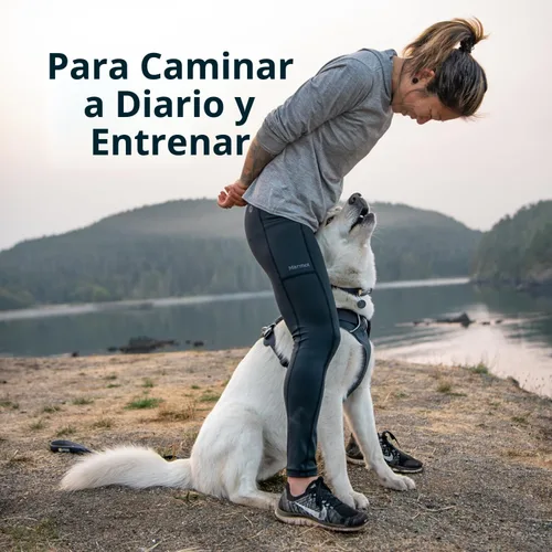 Vista 3 de Ruffwear, Front Range - Arnés reflectante para perro, suave y acolchado, de uso diario, con doble clip para correa, ajustable, ligero, para caminar