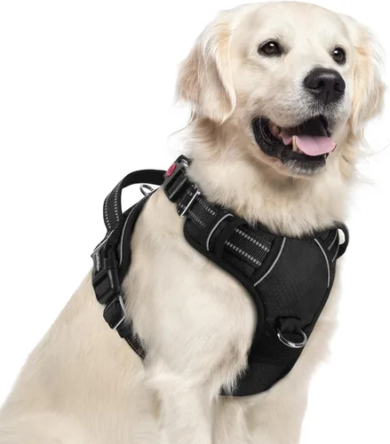 Vista 62 de Rabbitgoo - Arnés para perro de tamaño pequeño, sin tirones, 3 hebillas, fácil de poner y quitar Negro