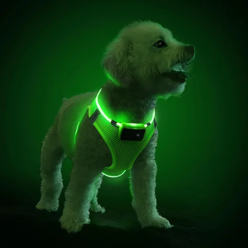 Vista 11 de PceoTllar Arnés para perro con luz LED, reflectante sin tirones, luz intermitente para caminar por la noche, talla S/M, (azul XS)