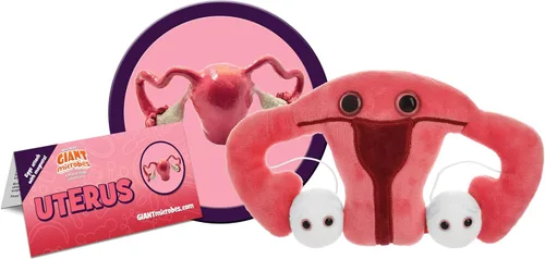 Vista 2 de GIANT MICROBES Juguete de peluche de útero, regalos de histerectomía, conciencia de endometriosis, regalos feministas, regalo de fertilidad, regalo