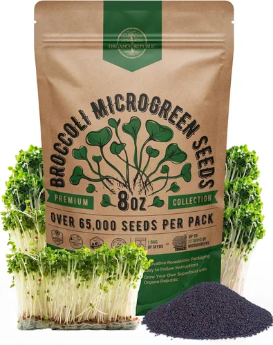 Vista 11 de Organo Republic Semillas de Rúcula para Germinación y Microgreens - Kit de Semillas de Brotes Sin OGM, Reliquia, Bolsa Resellable de 1 libra