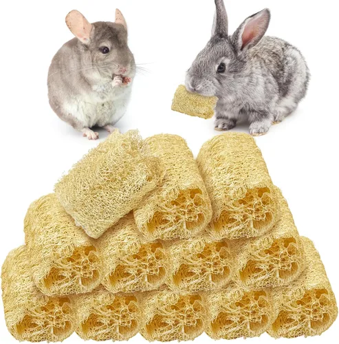 Vista 10 de BNOSDM Juguetes masticables de conejo, esponja natural, 6 piezas de dientes de conejo, juguete para moler conejo, golosinas ricas en fibra