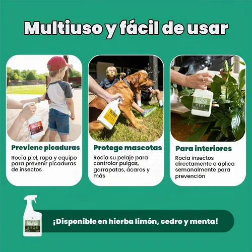 Vista 5 de Cedarcide Spray Multiusos para Insectos Mata y Controla Mosquitos, Pulgas, Garrapatas, Hormigas Hecho con Aceites Esenciales Naturales Usar