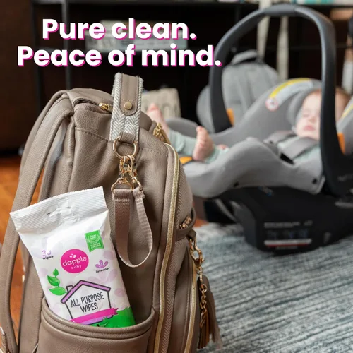 Vista 4 de Dapple Spray de limpieza multiusos para bebés y toallitas multiusos (paquete de 2) botella de 16.9 onzas líquidas, 30 toallitas de limpieza
