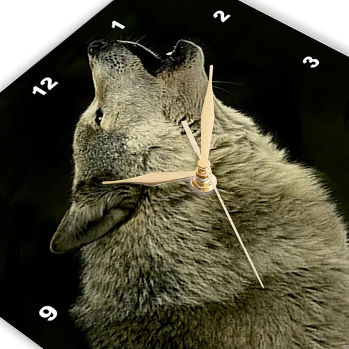 Vista 3 de 3dRose Wild Animals - Lobo de madera - Relojes de pared (DPP_724)