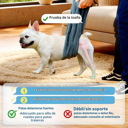 Vista 8 de Silla de ruedas para perros para patas traseras, altura/longitud/ancho ajustable, silla de ruedas resistente con ruedas que absorben los golpes