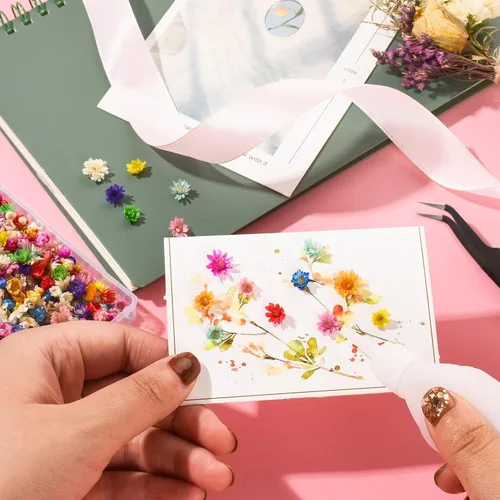 Vista 6 de 710 flores secas para manualidades de resina, pequeñas flores secas para uñas, flores secas prensadas pequeñas naturales reales para joyas, aretes