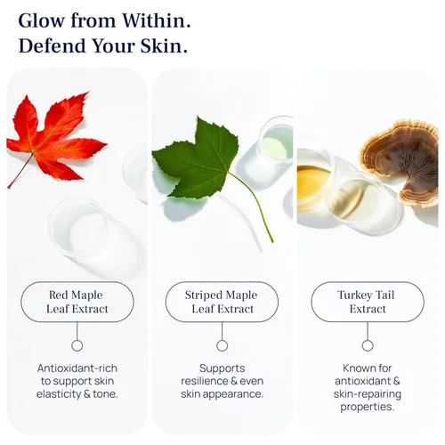 Vista 4 de Suero de hidratación celular – Alternativa al ácido hialurónico – Suero para la piel facial para hidratar – para mujeres y hombres – Con hamamelis