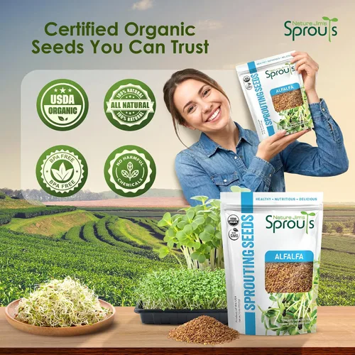 Vista 7 de Nature Jims Sprouts Semillas de alfalfa – Kit de cultivo de brotes orgánicos sin OMG para plantar – Bolsa resellable premium para semillas frescas