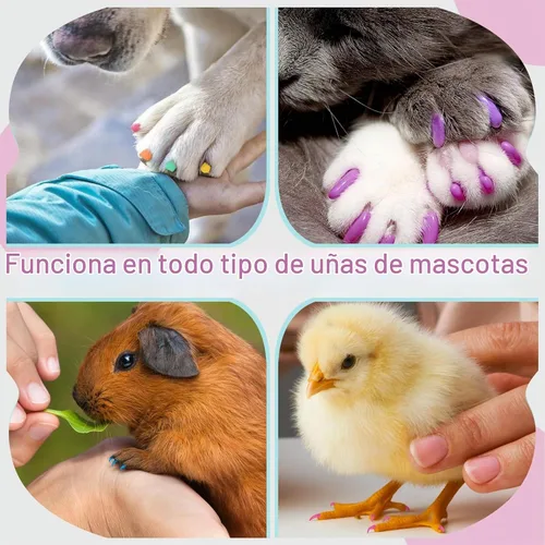 Vista 6 de Esmalte de uñas para perros, regalo de cumpleaños para perros, 18 colores de esmalte de uñas de perro, de secado rápido, seguro para perros,