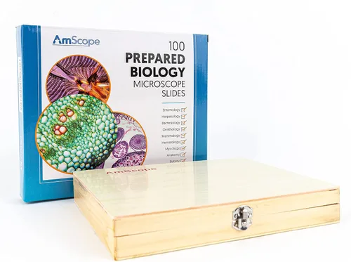 Vista 7 de AmScope M162C-2L-PB10-WM-SP14-50P100S 40X-1000X Kit de microscopio para principiantes para niños y estudiantes con kit completo de accesorios